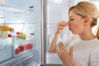 Как избавиться от неприятных запахов в холодильнике - fokus-vnimaniya.com