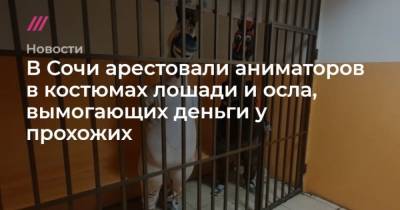 В Сочи арестовали аниматоров в костюмах лошади и осла, вымогающих деньги у прохожих - mur.tv - Россия - Сочи