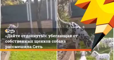Дайте отдохнуть!: убегающая от собственных щенков собака рассмешила Сеть - mur.tv