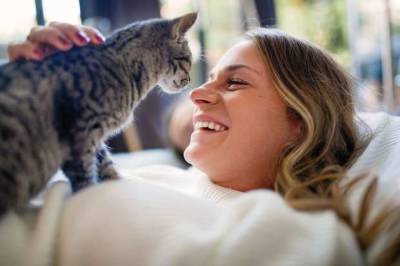 Почему кошка топчется на вас лапками: 3 причины - milayaya.ru