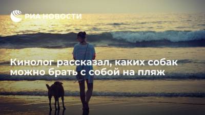Владимир Голубев - Кинолог рассказал, каких собак можно брать с собой на пляж - mur.tv - Россия - Москва
