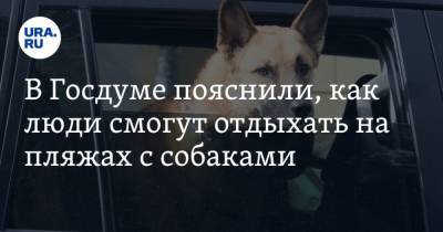 Владимир Бурматов - В Госдуме пояснили, как люди смогут отдыхать на пляжах с собаками - mur.tv - Россия