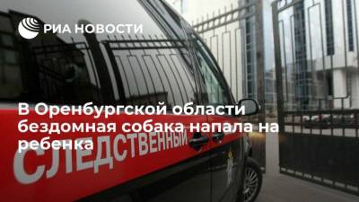 В Оренбургской области бездомная собака напала на ребенка - mur.tv - Россия - Уфа - Оренбург - Оренбургская обл.