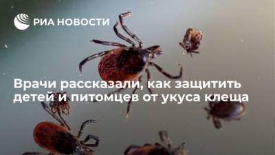 Врачи рассказали, как защитить детей и питомцев от укуса клеща - mur.tv - Россия - Москва