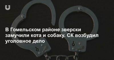 В Гомельском районе зверски замучили кота и собаку. СК возбудил уголовное дело - mur.tv - Белоруссия