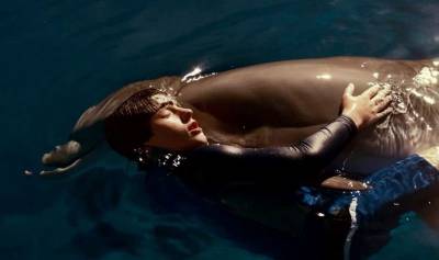 Знаете почему дельфины выталкивают людей на берег? » Тут гонева НЕТ! - goneva.net.ua