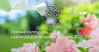 Лунный календарь садовода и огородника на июнь 2021 - sadogorod.club