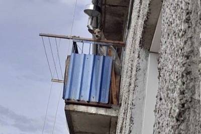 Добровольцы спасли запертую несколько дней на балконе собаку в Осетровке - mur.tv