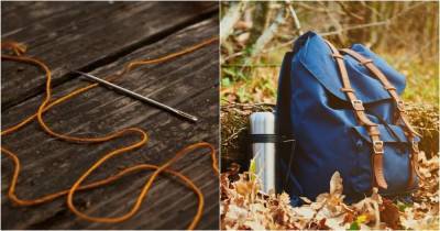 Как простая швейная игла может стать спасением в лесу или туристическом походе - lifehelper.one
