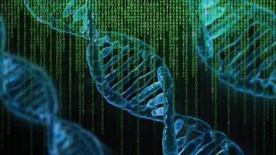 Генетика: как гены влияют на характер и судьбу человека - lifehelper.one