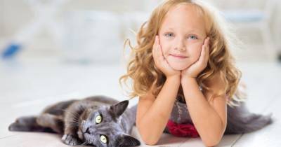 Перший у світі корм, який зменшує рівень алергенів у котів: Purina PRO PLAN® LiveClear® - womo.ua