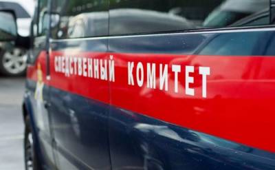 По факту нападения собак на ребенка в Долинске возбудили уголовное дело - mur.tv - Россия - Долинск