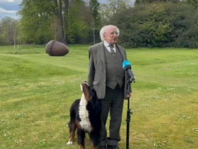 Президент Ирландии взял на выступление своего щенка бернского зенненхунда. Пес принял активное участие. Видео - mur.tv - Ирландия