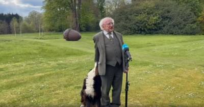 Майкл Хиггинс - Томас Хики - Совала нос в пиджак и требовала внимания: собака президента Ирландии едва не сорвала ему важное выступление (видео) - mur.tv - Ирландия