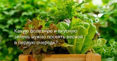 Какую полезную и вкусную зелень нужно посеять весной в первую очередь? - sadogorod.club