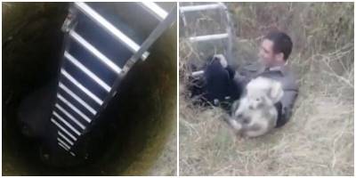 В Приморском крае полицейские спасли из колодца дикого кота и енота-альбиноса - mur.tv - Приморье край