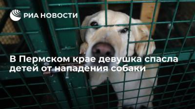 В Пермском крае девушка спасла детей от нападения собаки - mur.tv - Пермь - Пермский край