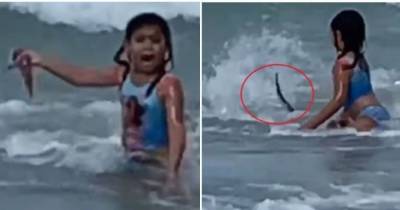 Американка случайно записала видео, как ее 6-летняя дочь спасается от акулы - mur.tv - штат Гавайи