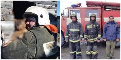 Приамурские пожарные спасли очень брутального кота - mur.tv - Амурская обл.