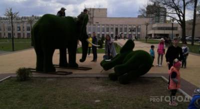 Чебоксарцы о поваленной фигуре слона у кадетского корпуса: “На монумент Матери залезьте еще всей семьей” - mur.tv - Чебоксары