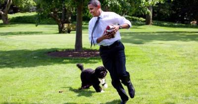 Барак Обама - Умерла собака Обамы - mur.tv - Сша