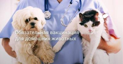 Обязательная вакцинация для домашних животных - sadogorod.club