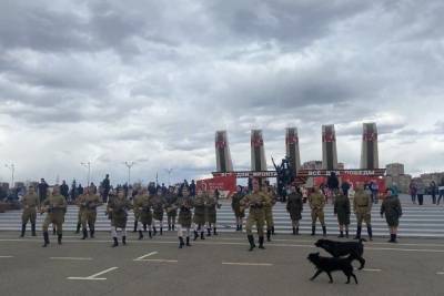Бродячие собаки мешали песням ансамбля Забайкальские казаки на мемориале в Чите - mur.tv - Чита