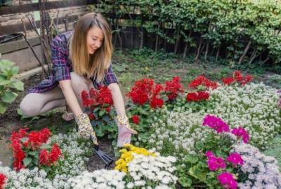Что делать в саду, огороде и цветнике в июне – важные полезные советы - sadogorod.club