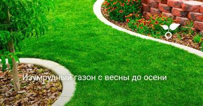Изумрудный газон с весны до осени - sadogorod.club
