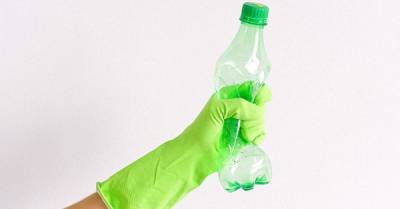 Anna Shvets - Как пластиковые бутылки влияют на качество спермы - wmj.ru - Вашингтон