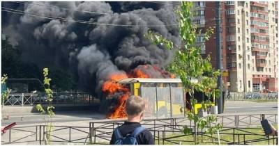 В Санкт-Петербурге автобус вспыхнул рядом с остановкой - porosenka.net - Санкт-Петербург