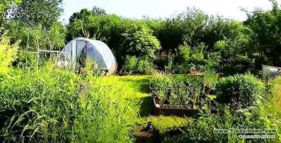 Какие работы нужно сделать в саду, в огороде и на участке в июне месяце - sadogorod.club