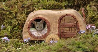 Фотограф построил для мышат фэнтези-деревню в стиле хоббитов - lifehelper.one - Англия