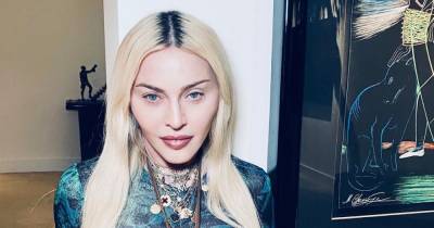 В одном белье: 62-летняя Мадонна сразила фанатов откровенными фото - tochka.net