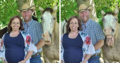 Пара хотела милую беременную фотосессию с лошадьми, а вышла комедия. Ведь один конь решил, что он — модель - mur.tv - Сша