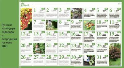 Лунный посевной календарь садовода, цветовода и огородника на июль 2021 года - sadogorod.club