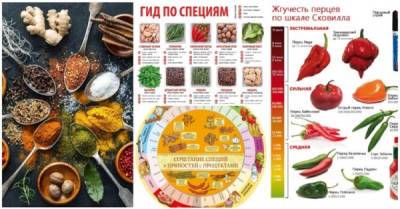 20 нужных шпаргалок о самом ароматном: гид по специям для кулинаров - porosenka.net