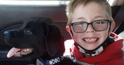Мальчик из США продал карточки с покемонами и спас собаку от смерти - mur.tv - Сша