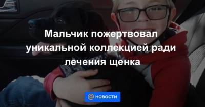 Мальчик пожертвовал уникальной коллекцией ради лечения щенка - mur.tv - Сша
