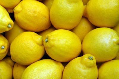 Два нестандартных способа применения лимона в огороде - sadogorod.club