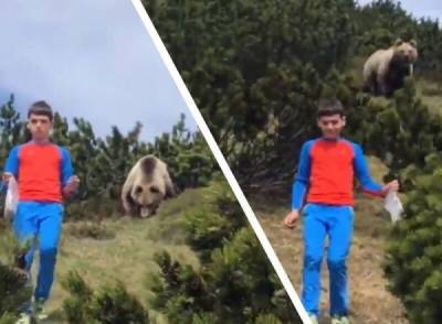 12-летний мальчик встретил в лесу медведя и именно эта верная реакция спасла ему жизнь - porosenka.net