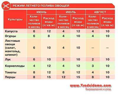 Режим летнего полива овощей (+ таблица) - sadogorod.club