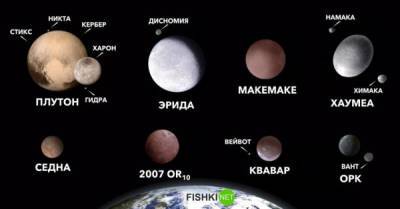 Двойная планета, "анти-Плутон", "планета-волчок" и другие занимательные объекты в нашей Солнечной системе - porosenka.net
