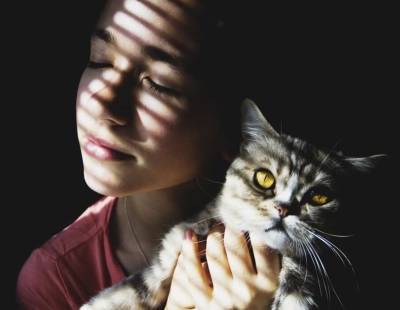 Ученые: Взаимоотношения между человеком и кошкой развиваются по пяти сценариям - mur.tv