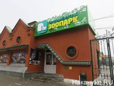 Зоопарк Екатеринбурга открывает пункт вакцинации от COVID-19 - mur.tv - Екатеринбург