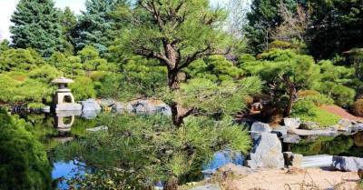 Дворик с веянием Дальнего Востока: как создать сад в японском стиле - sadogorod.club - Япония