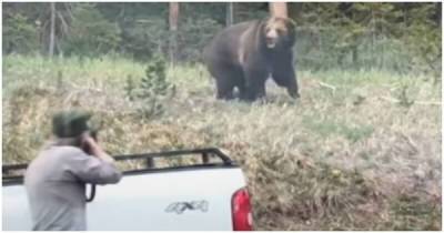 Медведь гризли попытался напасть на рейнджера в национальном парке - porosenka.net - Сша - На