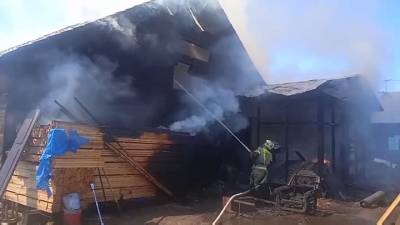Видео из Сети. Пожарные спасли домашнюю собаку из горящего дома в Нижнеудинске - mur.tv