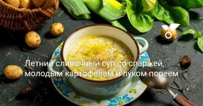 Летний сливочный суп со спаржей, молодым картофелем и луком пореем - sadogorod.club