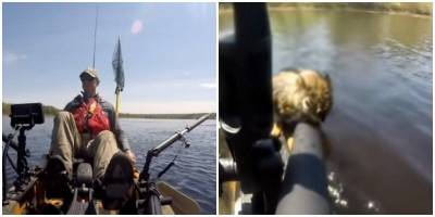 Рыбак спас белку от окуней - mur.tv - Канада